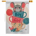 Cuadrilatero Mousy Boy Girl Celebration New Born Double-Sided Garden Decorative House Flag, Multi Color CU3912127